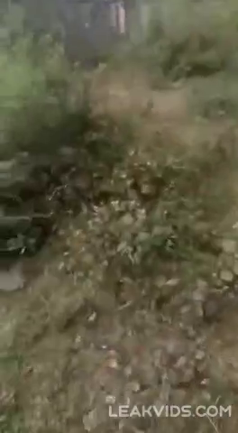 Индийская парочка устроила похабный публичный секс – все细节 засняты